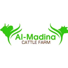 Al Madina Cattle