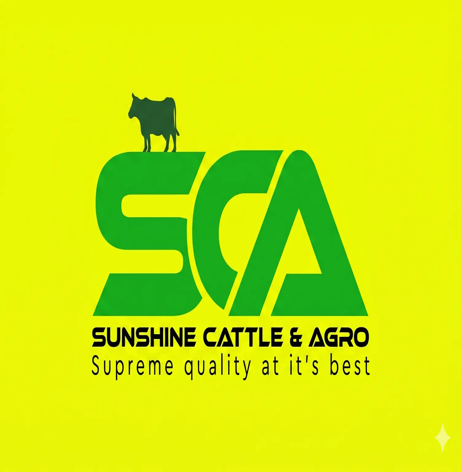Sunshine Cattle