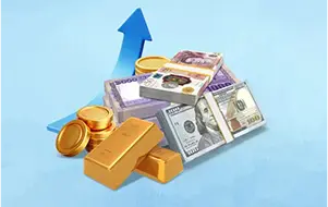 Money Market
